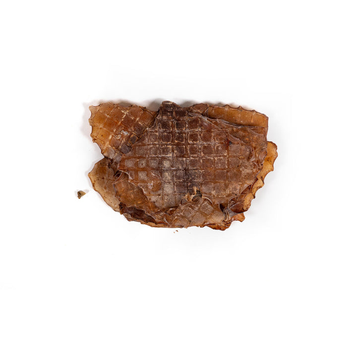 Wet food Snackys Fish