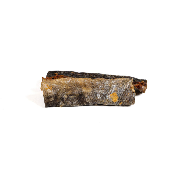 Wet food Snackys Fish