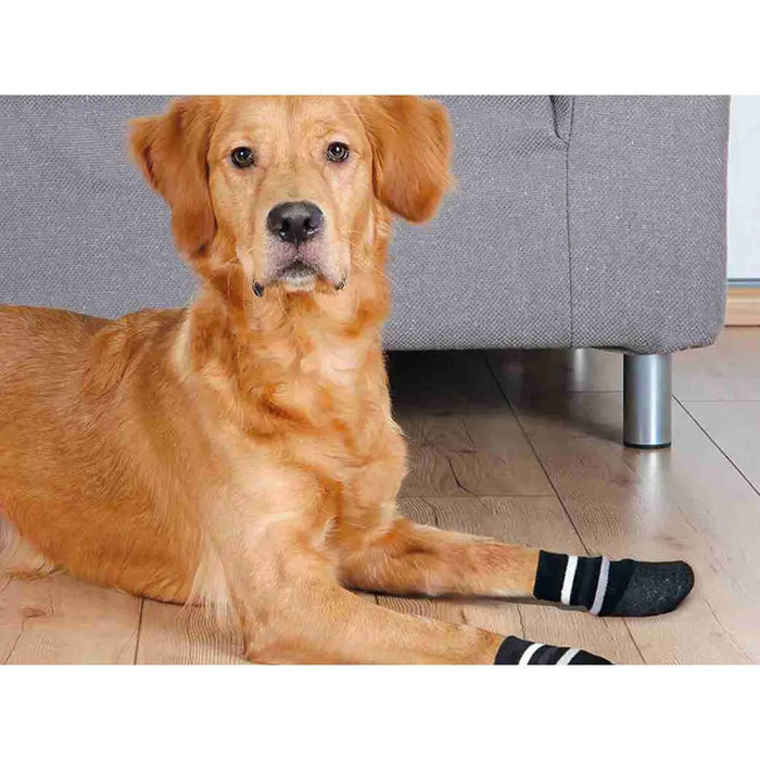 Socks Trixie Black XL Dog - Домашни Животни<<<Дом Градина<<<BigBuy&&&Пътуване и разходки<<<Домашни Животни<<<Дом