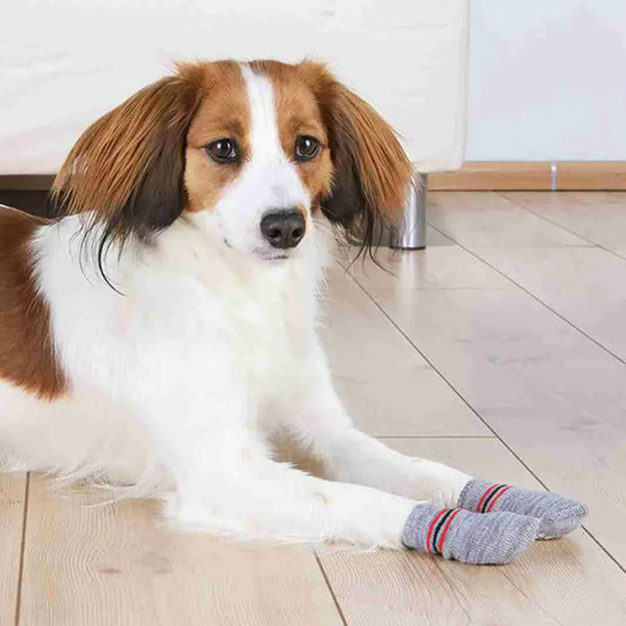 Socks Trixie Grey L/XL Dog - Домашни Животни<<<Дом Градина<<<BigBuy&&&Пътуване и разходки<<<Домашни Животни<<<Дом