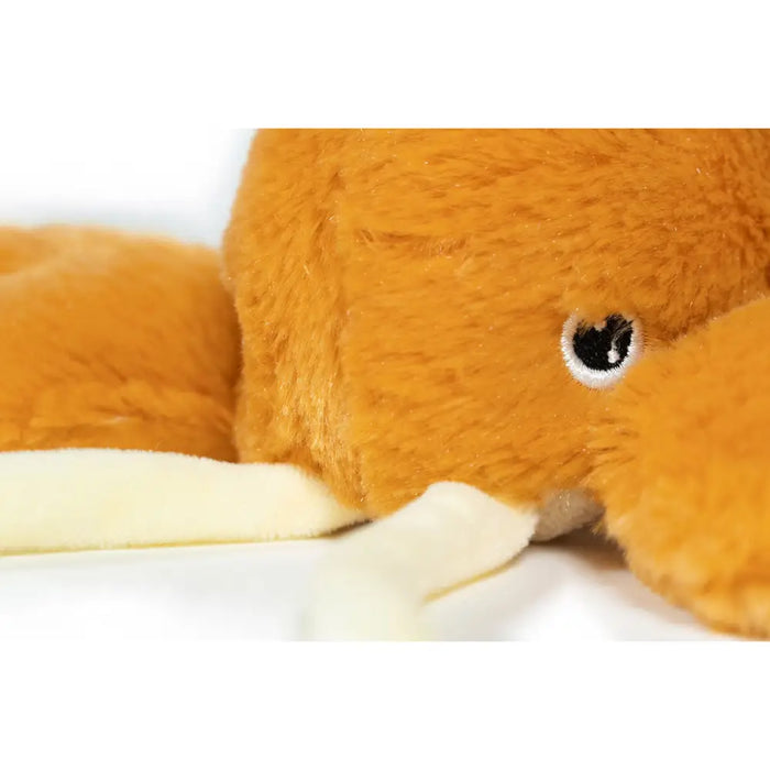 Soft toy for dogs Gloria Orange Polyester polypropylene - Домашни Животни<<<Дом Градина<<<BigBuy&&&Играчки<<<Домашни