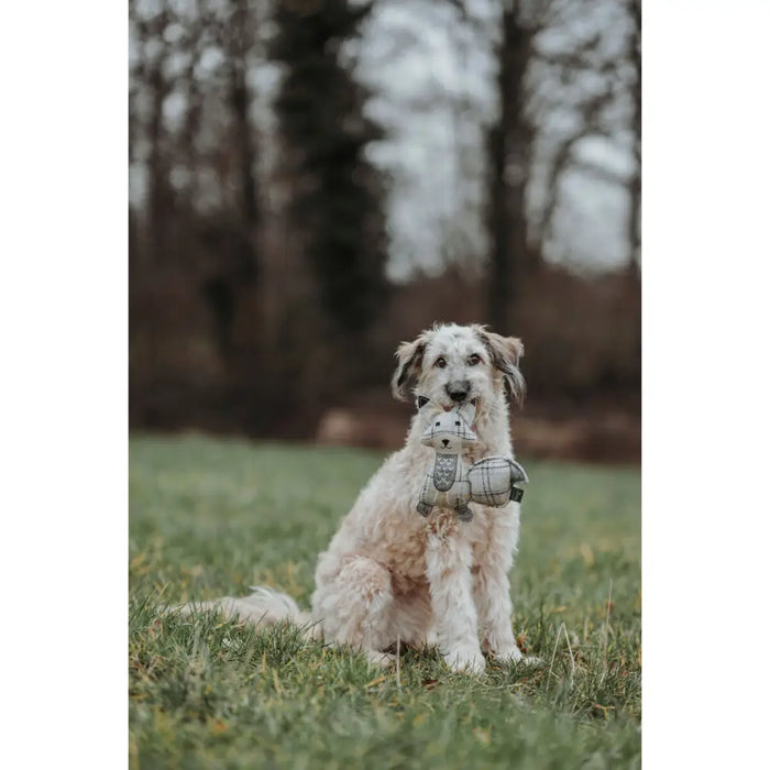 Soft toy for dogs Hunter Beige 100 % Recycled Fox - Домашни Животни<<<Дом Градина<<<BigBuy&&&Играчки<<<Домашни