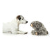 Soft toy for dogs Hunter Faro Brown Grey Polyester Bear - Домашни Животни<<<Дом Градина<<<BigBuy&&&Играчки<<<Домашни