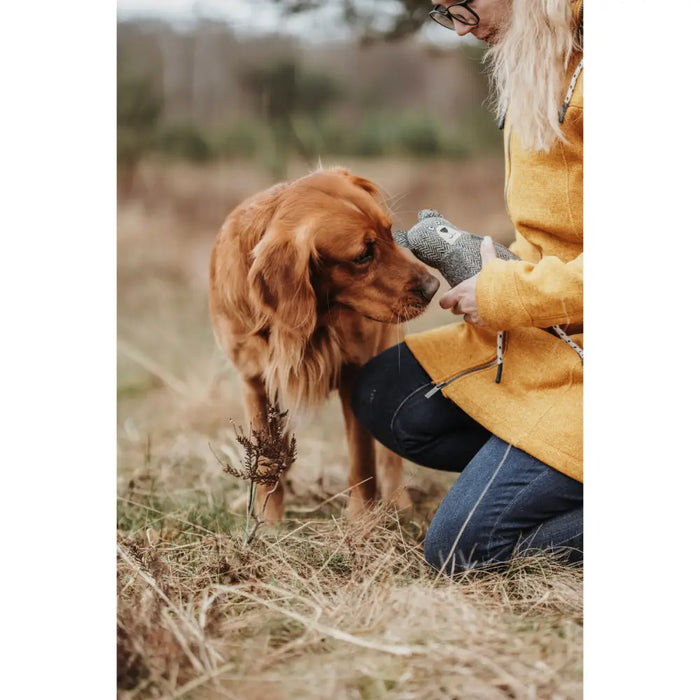 Soft toy for dogs Hunter Grey 100 % Recycled Bear - Домашни Животни<<<Дом Градина<<<BigBuy&&&Играчки<<<Домашни
