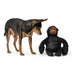 Soft toy for dogs Hunter Tough Kamerun Gorilla (29 cm) - Домашни Животни<<<Дом Градина<<<BigBuy&&&Играчки<<<Домашни