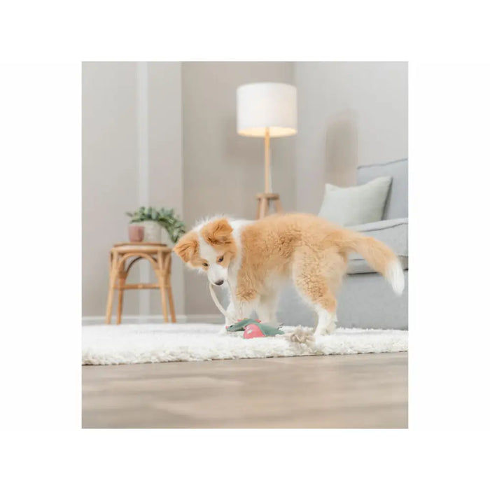 Soft toy for dogs Trixie - Домашни Животни<<<Дом Градина<<<BigBuy&&&Играчки<<<Домашни Животни<<<Дом Градина<<<BigBuy