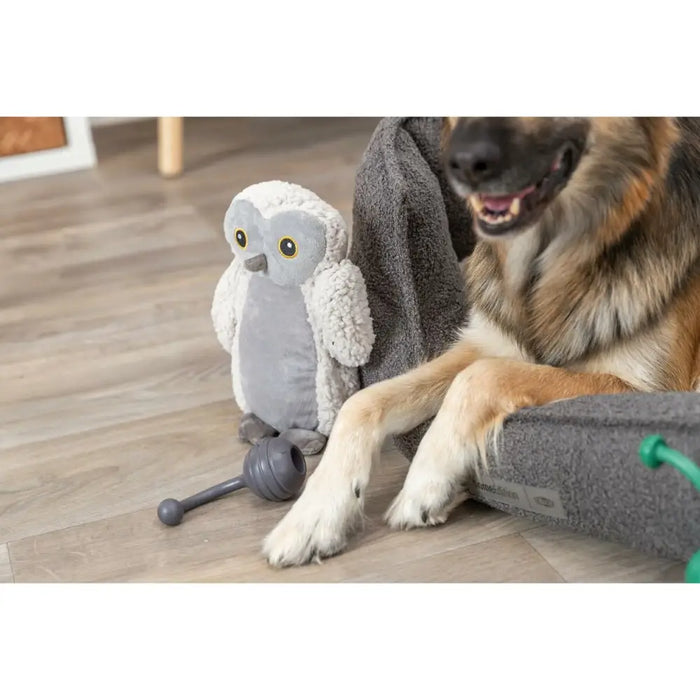 Soft toy for dogs Trixie Emily Polyester Plush Owl 28 cm - Играчки<<<Домашни Животни<<<Дом Градина<<<BigBuy