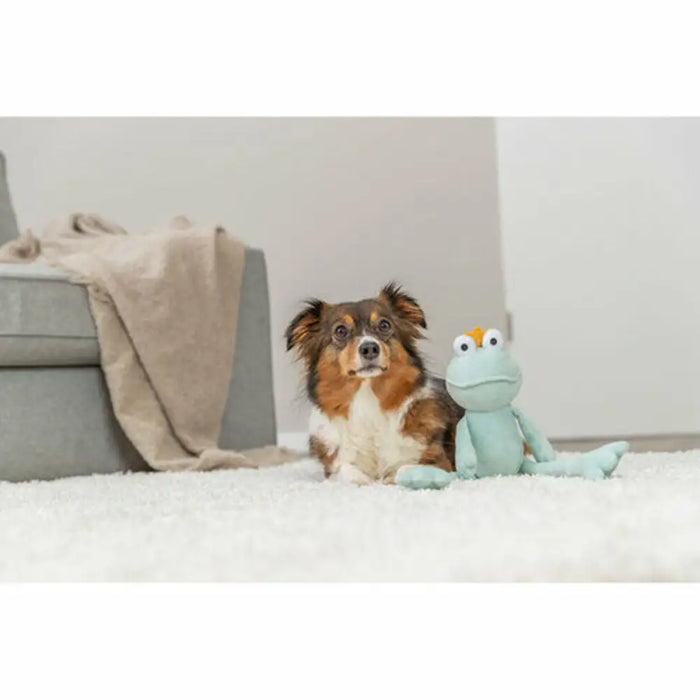 Soft toy for dogs Trixie Polyester Frog 42 cm - Домашни Животни<<<Дом Градина<<<BigBuy&&&Играчки<<<Домашни