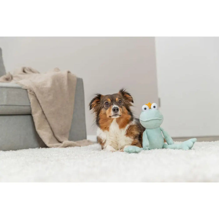 Soft toy for dogs Trixie Polyester Frog 42 cm - Домашни Животни<<<Дом Градина<<<BigBuy&&&Играчки<<<Домашни