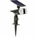 Solar garden lights Smart Garden - Декорация и Осветление<<<Дом Градина<<<BigBuy&&&LED Осветление<<<Декорация и
