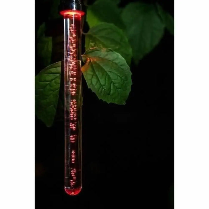 Solar lamp Garden ID Crystal - Декорация и Осветление<<<Дом Градина<<<BigBuy&&&Соларно осветление<<<Декорация и