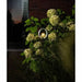 Solar lamp Garden ID Lagune - Декорация и Осветление<<<Дом Градина<<<BigBuy&&&Соларно осветление<<<Декорация и