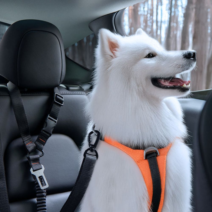 Spigen PS100 Universal Pet Seat Belt - Black