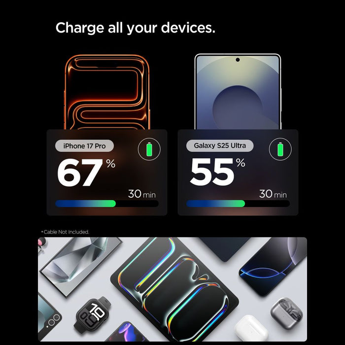 Spigen Essential EE301EU 1-Port 30W Wall Charger - Titanium