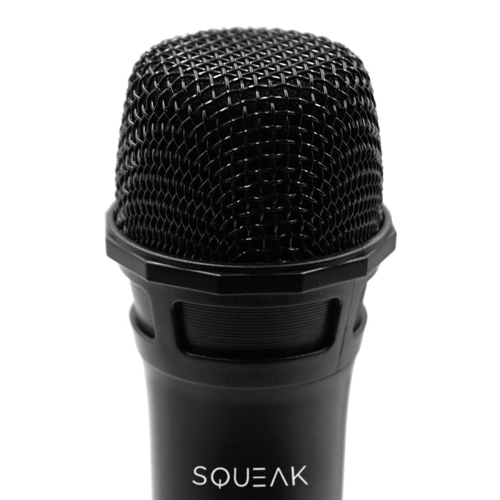 KARAOKE MICROPHONES SET VOCALDUO 2,4G SQ1007