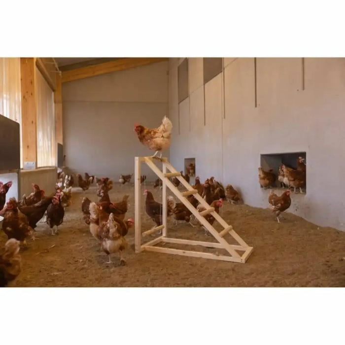 Staircase Kerbl Chicken - Домашни Животни<<<Дом Градина<<<BigBuy&&&Купички за храна и вода<<<Домашни Животни<<<Дом