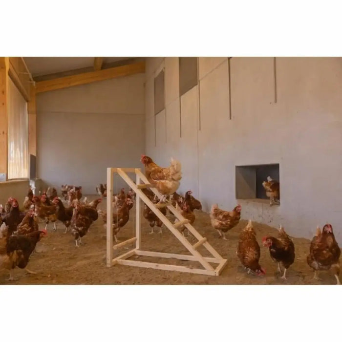Staircase Kerbl Chicken - Домашни Животни<<<Дом Градина<<<BigBuy&&&Купички за храна и вода<<<Домашни Животни<<<Дом