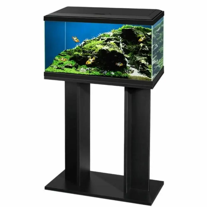 Stand Ciano - Домашни Животни<<<Дом Градина<<<BigBuy&&&Здраве и хигиена<<<Домашни Животни<<<Дом Градина<<<BigBuy