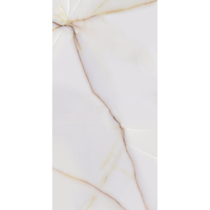 GRANITOGRES STAR GRES ICON POLISHED 60X120 CM