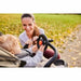 Steering wheel Hauck - Компютър Игри<<<Компютри| Електроника<<<BigBuy&&&Аксесоари за Игри<<<Компютър Игри<<<Компютри|