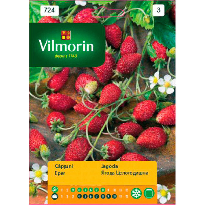 STRAWBERRY SEEDS VILMORIN - Семена<<<Семена луковици и разсад<<<Градина<<<Praktiker