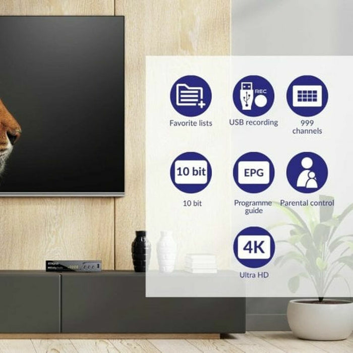 TDT Tuner STRONG SRT 8250