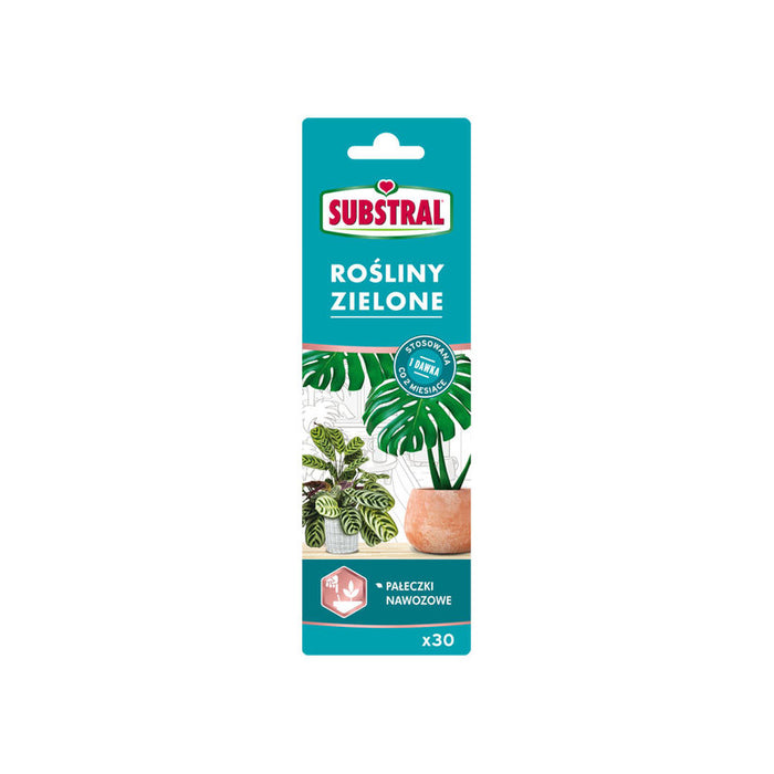 FERTILIZER ON STICKS FOR GREEN PLANTS 30PCS SUBSTRAL