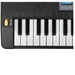SUPRIMO 6109L - keyboard with microphone for learning to play designed for children