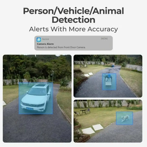 Surveillance Camcorder Reolink P330 - Видеокамери за наблюдение<<<Сигурност Удома<<<Дом Градина<<<BigBuy&&&Video