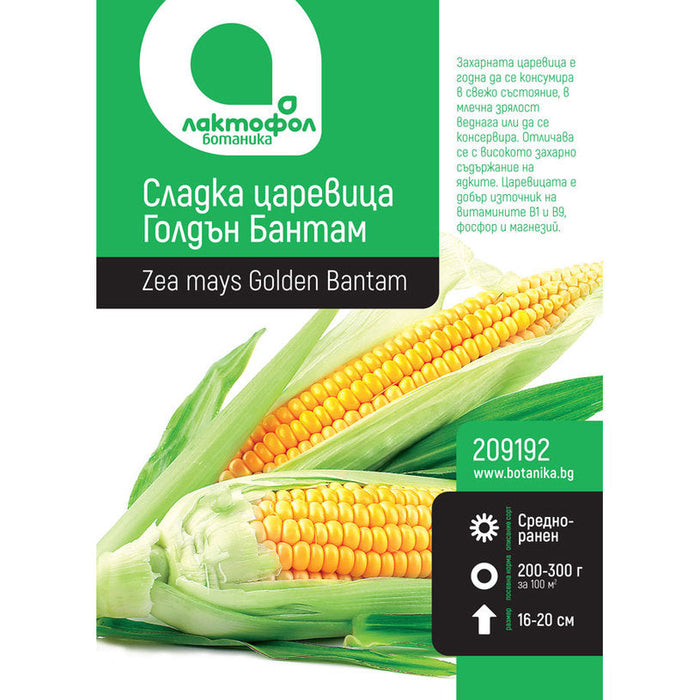 SWEET CORN SEEDS GOLDEN BANTAM LACTOFOL BOTANIC - Семена<<<Семена луковици и разсад<<<Градина<<<Praktiker
