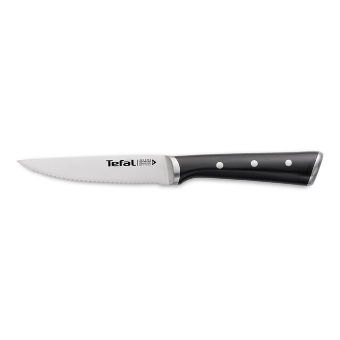 Set of steak knives TEFAL Ice Force 4 pcs. 11 cm. K232S414