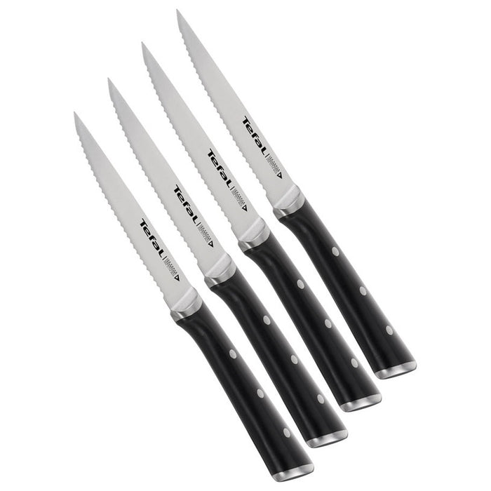 Set of steak knives TEFAL Ice Force 4 pcs. 11 cm. K232S414