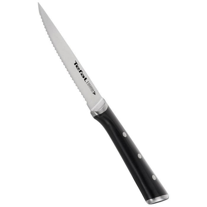 Set of steak knives TEFAL Ice Force 4 pcs. 11 cm. K232S414