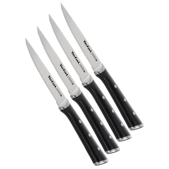 Set of steak knives TEFAL Ice Force 4 pcs. 11 cm. K232S414