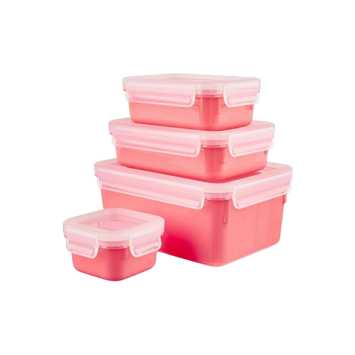 Tefal food box N1030910 4 pcs.