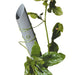 TENAX WINDING PLANT POLE - Аксесоари<<<Мрежи и огради<<<Градина<<<Praktiker