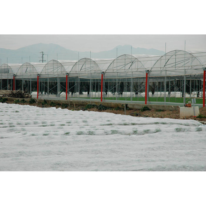 ANTI-FREEZE COVER 160CM TENAX ORTOCLIMA