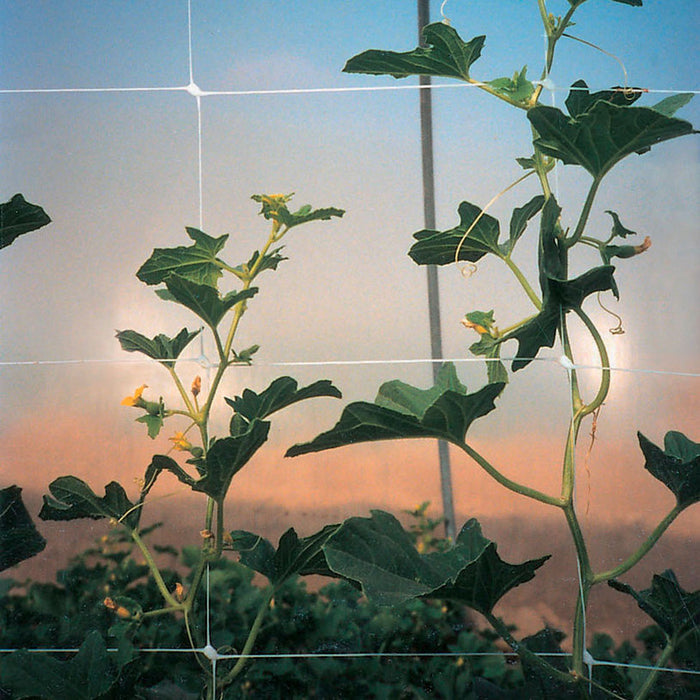 NETTING FOR WRAPING PLANTS 200CM TENAX HORTONOVA