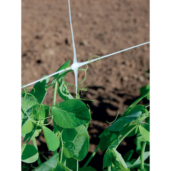 NETTING FOR WRAPING PLANTS 200CM TENAX HORTONOVA