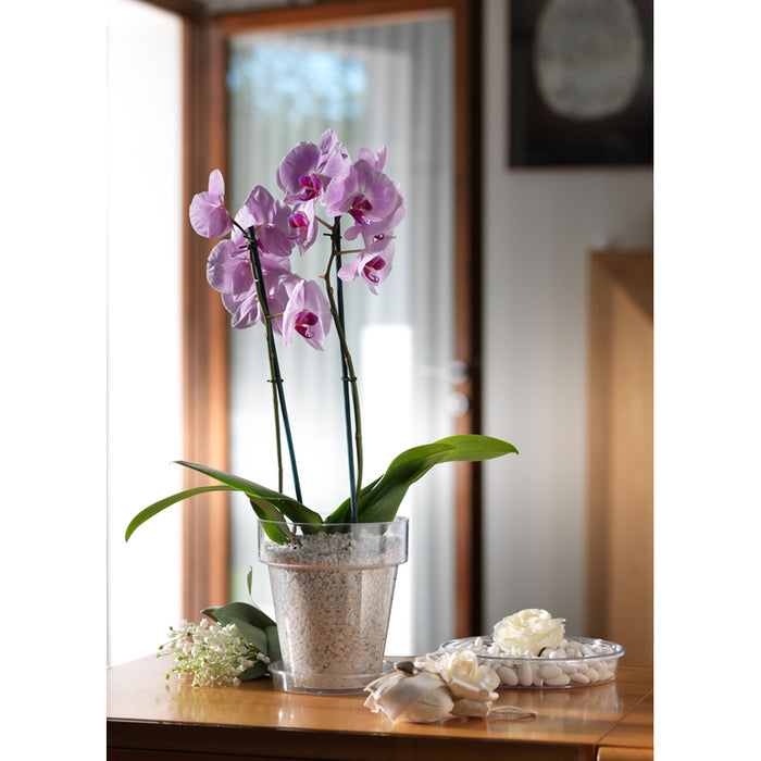 PLASTIC POT Φ20CM TERA PORTO