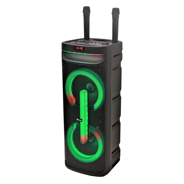 THUNDER THS-B1021 audio system