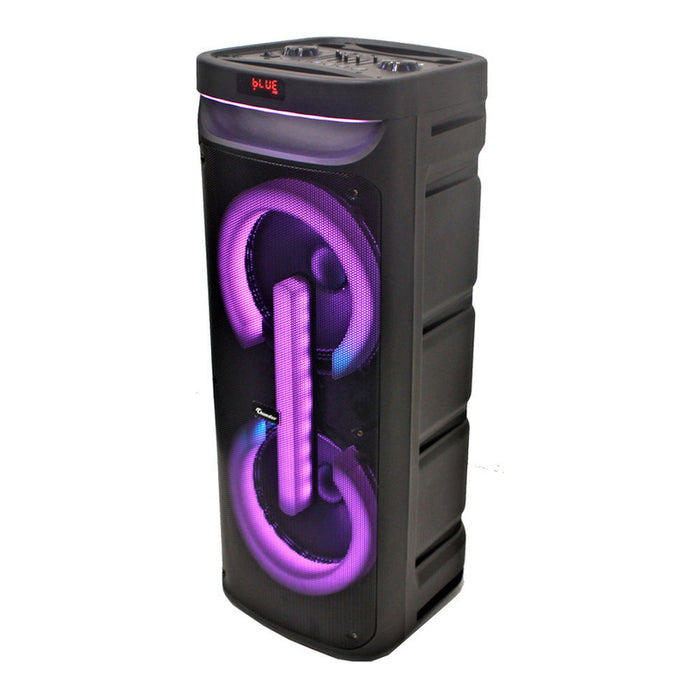 THUNDER THS-B1021 audio system