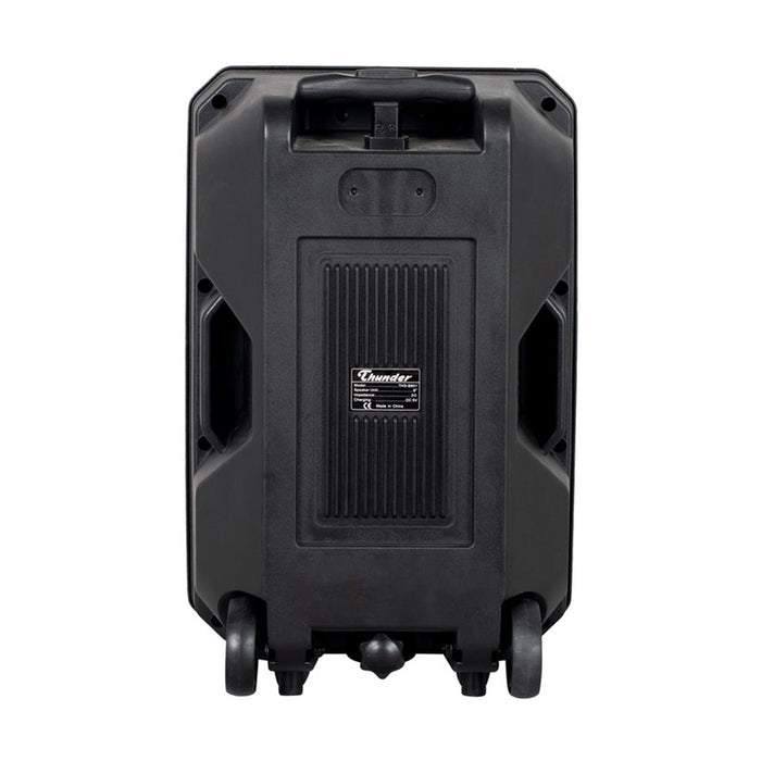 THUNDER THS-B801 audio system