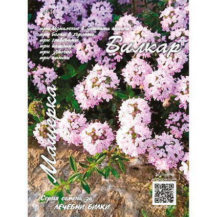 THYME SEEDS HERBALIST - Семена<<<Семена луковици и разсад<<<Градина<<<Praktiker