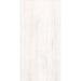 TILE KAI ASTRA WHITE 30X60 CM - Стенни плочки и декорация<<<Плочки и лайстни<<<Баня<<<Praktiker&&&Стенни плочки и
