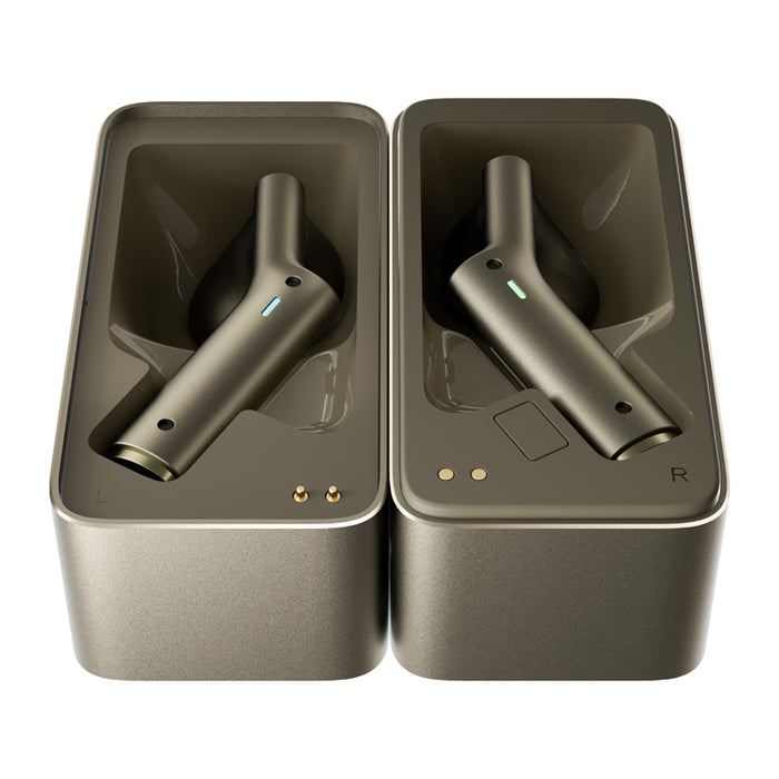 TIMEKETTLE W4 Translation Earbuds (Gold)