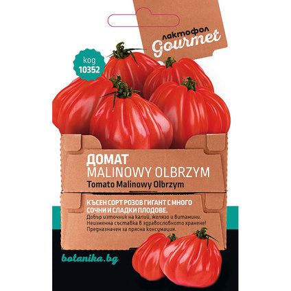 TOMATO SEEDS MALINOWY OLBRZYM GOURMET - Семена<<<Семена луковици и разсад<<<Градина<<<Praktiker