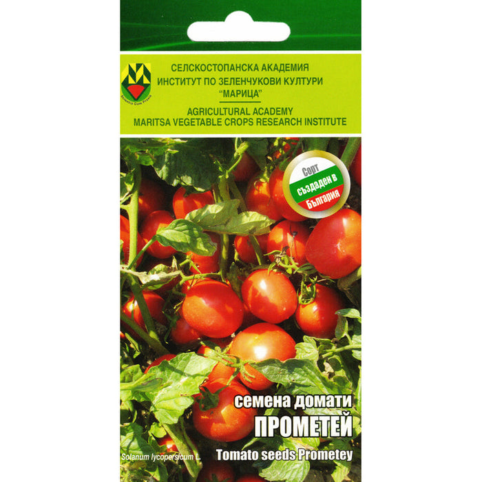 TOMATO SEEDS PROMETEUS IZK MARITSA - Семена<<<Семена луковици и разсад<<<Градина<<<Praktiker
