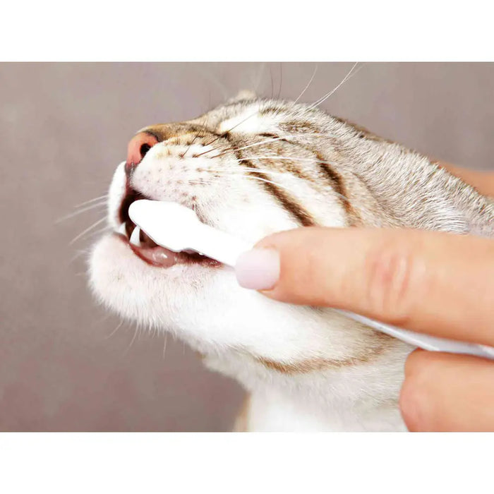 Toothpaste Trixie - Домашни Животни<<<Дом Градина<<<BigBuy&&&Здраве и хигиена<<<Домашни Животни<<<Дом Градина<<<BigBuy