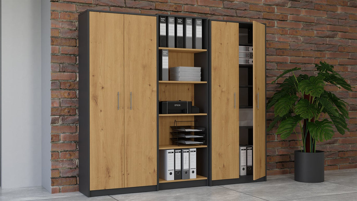 Topeshop OLIV 2D ANT/ART KPL office bookcase